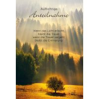 Trauer Beileid Avanti Kondolenzkarte mit Briefumschlag...