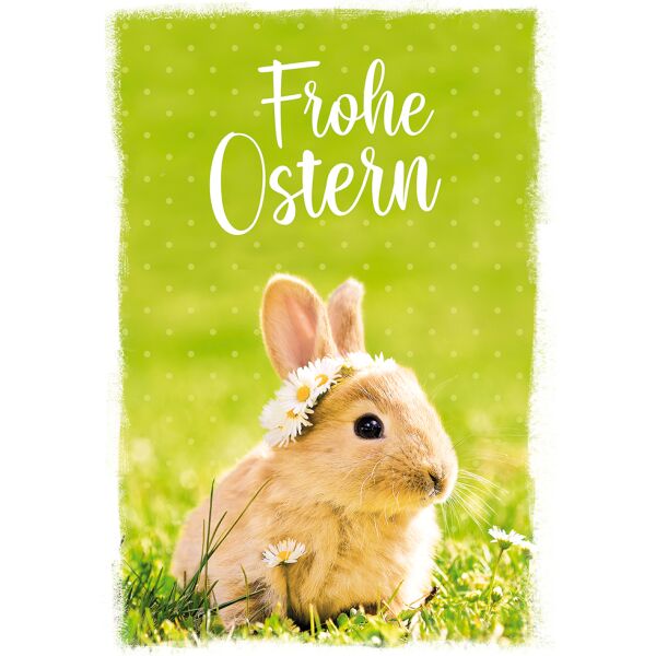 Ostern Glückwunschkarte mit Umschlag Hase Frohe Ostern