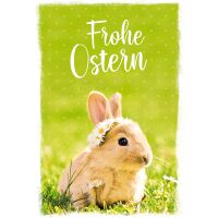 Ostern Glückwunschkarte mit Umschlag Hase Frohe Ostern