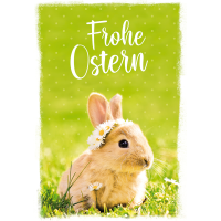 Ostern Glückwunschkarte mit Umschlag Hase Frohe Ostern