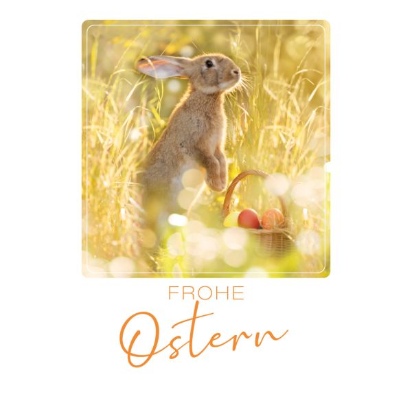 Ostern Hase mit Eierkorb auf Wiese unverpackt Grußkarte mit Umschlag