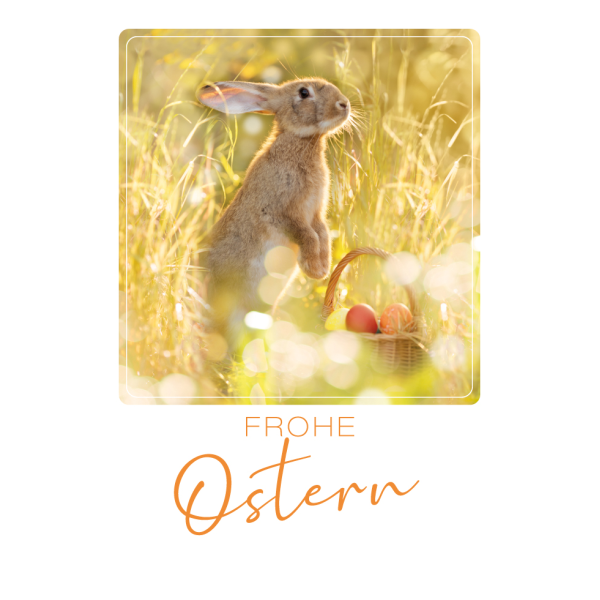 Ostern Hase mit Eierkorb auf Wiese unverpackt Grußkarte mit Umschlag