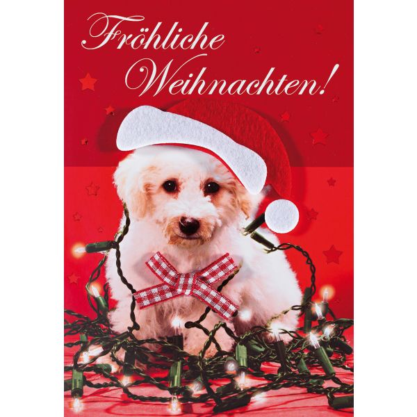 Weihnachten Glückwunschkarte mit Umschlag Hund Mütze