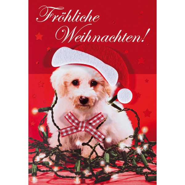 Weihnachten Glückwunschkarte mit Umschlag Hund Mütze