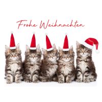 Weihnachten Glückwunschkarte mit Umschlag Katzen mit...
