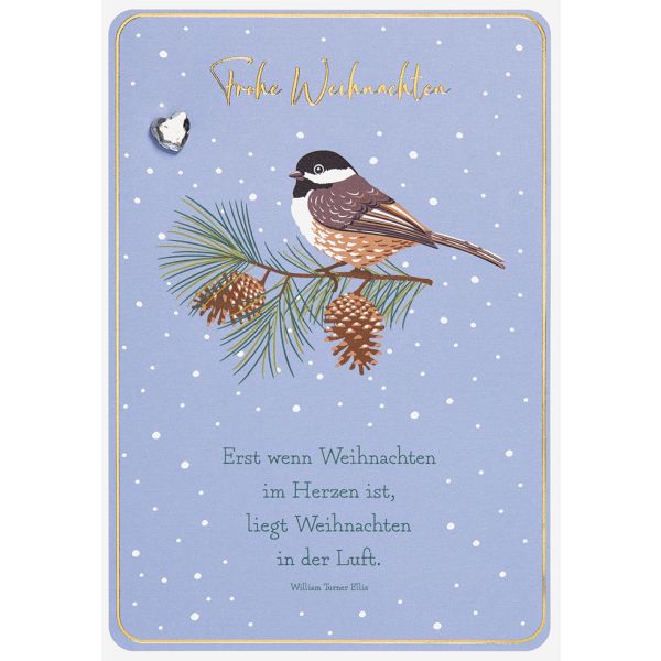 Weihnachten Unverpackt Glückwunschkarte 11,6 x 16,6 cm mit Umschlag Mistelzweig Amsel