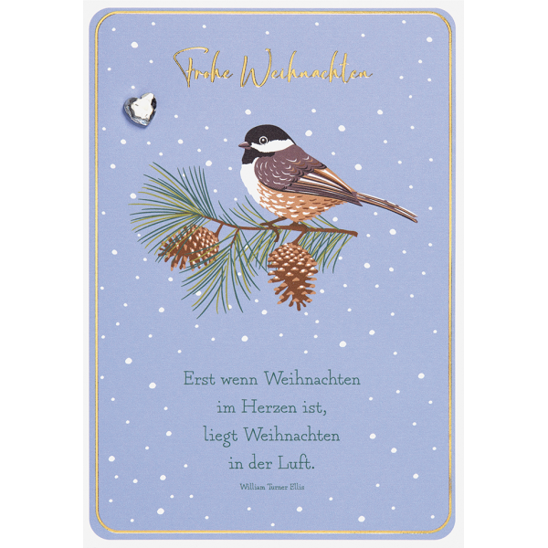 Weihnachten Unverpackt Glückwunschkarte 11,6 x 16,6 cm mit Umschlag Mistelzweig Amsel