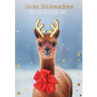 Weihnachten Unverpackt Glückwunschkarte 11,6 x 16,6...