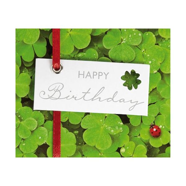 Geburtstag Happy Birthday Kleeblätter Midi-Glückwunschkarte Blumenkärtchen mit Klammer und Umschlag