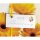 Genesung – Gute Besserung - Midi-Klammerkarte - Blumenkärtchen mit Klammer und Umschlag