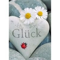 Ohne Text - Blanko - Stein mit Glück -...
