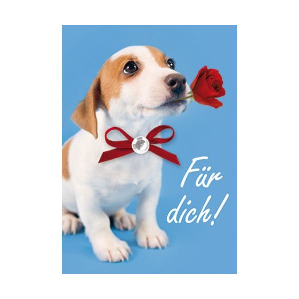 Allgemeine Wünsche - Für Dich - Mini-Klammerkarte - Blumenkärtchen mit Klammer