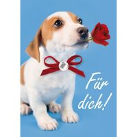 Allgemeine Wünsche - Für Dich -...