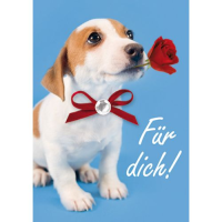 Allgemeine Wünsche - Für Dich -...
