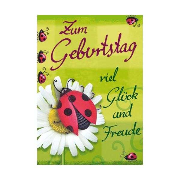 Geburtstag Zum Geburtstag viel Glück und Freude Marienkäfer Mini-Glückwunschkarte Blumenkärtchen mit Klammer