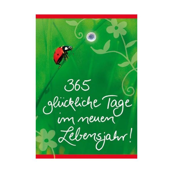 Geburtstag 365 glückliche Tage im neuen Lebensjahr! Marienkäfer Mini-Glückwunschkarte Blumenkärtchen mit Klammer