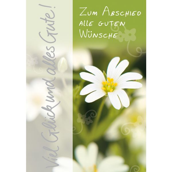 A Abschied Blümchen  Glückwunschkarte mit Umschlag