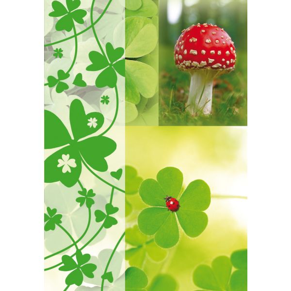 Ohne Text - Blanko - Pilz, Kleeblatt, Marienkäfer - Glückwunschkarte im Format 11,5x17cm mit Umschlag