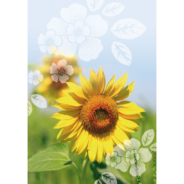 Ohne Text - Blanko - Sonnenblume - Unverpackt - Glückwunschkarte im Format 11,5x17cm mit Umschlag - plastikfrei verpackt