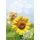 Ohne Text - Blanko - Sonnenblume - Unverpackt - Glückwunschkarte im Format 11,5x17cm mit Umschlag - plastikfrei verpackt