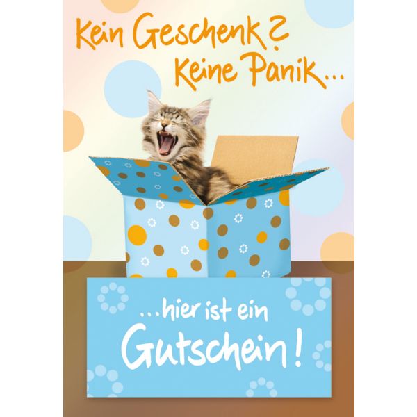 Gutschein unverpackte Glückwunschkarte mit Umschlag  Kein Geschenk? Keine Panik...hier ist ein Gutschein! Katze im Karton