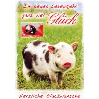 Geburtstagskarte Schwein und Marienkäfer Im neuen...