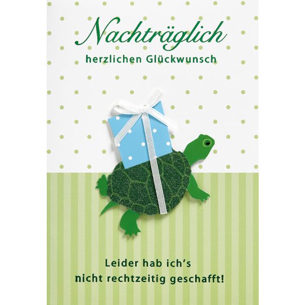 Geburtstag nachträglich verspätet Glückwunschkarte miit Umschlag Schildkröte nicht rechtzeitig geschafft