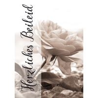 Trauer Kondolenz Beileidskarte mit Briefumschlag Rose...