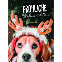 Weihnachten Miniklammer Glückwunschkarten Hund mit...
