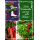 Weihnachten Miniklammer Glückwunschkarten Schlittschuhe, Zimtstangen, Tannenzweige