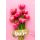 Danke Klammerkarte Mini-Karten Glückwunschkarte mit Umschlag Tulpen