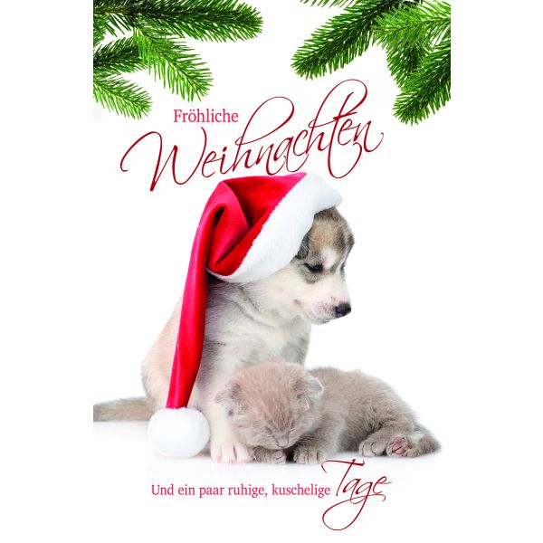 Weihnachten Glückwunschkarte mit Umschlag Hund mit Weihnachtsmütze
