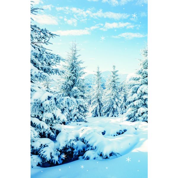 Winter Ohne Text Fotokarte mit Briefumschlag Grußkarte Verschneiter Nadelwal