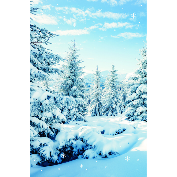 Winter Ohne Text Fotokarte mit Briefumschlag Grußkarte Verschneiter Nadelwal