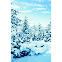 Winter Ohne Text Fotokarte mit Briefumschlag...