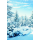 Winter Ohne Text Fotokarte mit Briefumschlag Grußkarte Verschneiter Nadelwal
