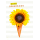 Genesung Gute Besserung Glückwunschkarte mit Umschlag Sonnenblume in Eiswaffel