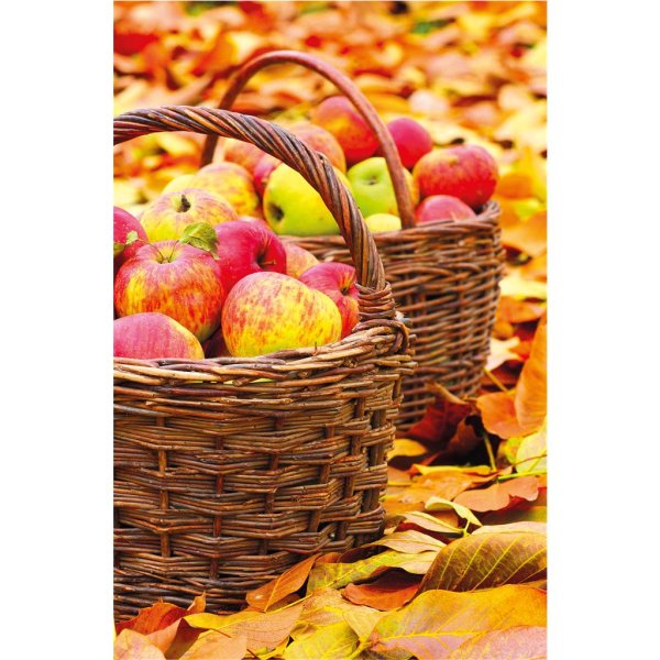 Ohne Text - Glückwunschkarte im Format 11,5 x 17 cm mit Umschlag - 2 Weidenkörbe voll Äpfel stehen im Laub