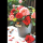 Ohne Text Glückwunschkarte mit Umschlag Rote und rosa Rosen im Zinkeimer