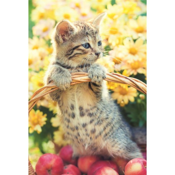 Ohne Text - Glückwunschkarte im Format 11,5 x 17 cm mit Umschlag - Katze, Blumen