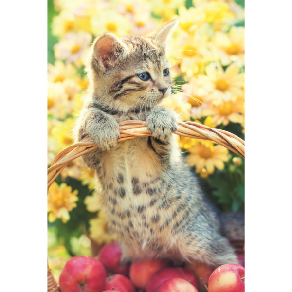 Ohne Text Glückwunschkarte mit Umschlag Katze, Blumen
