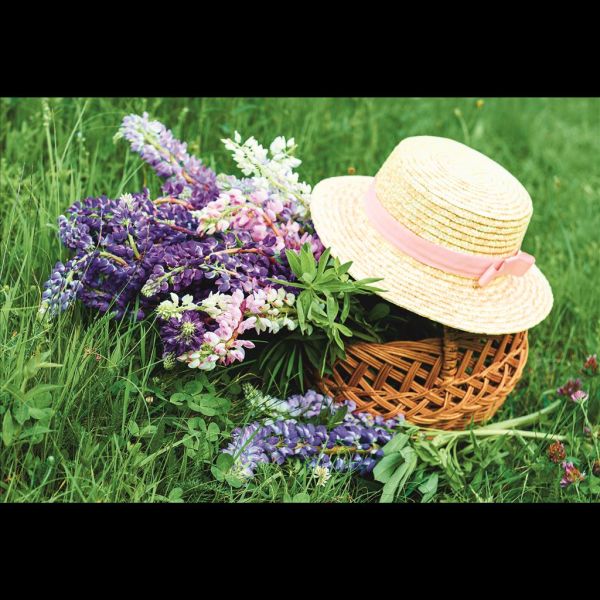 A Ohne Text Glückwunschkarte mit Umschlag Blumen im Korb, Strohhut