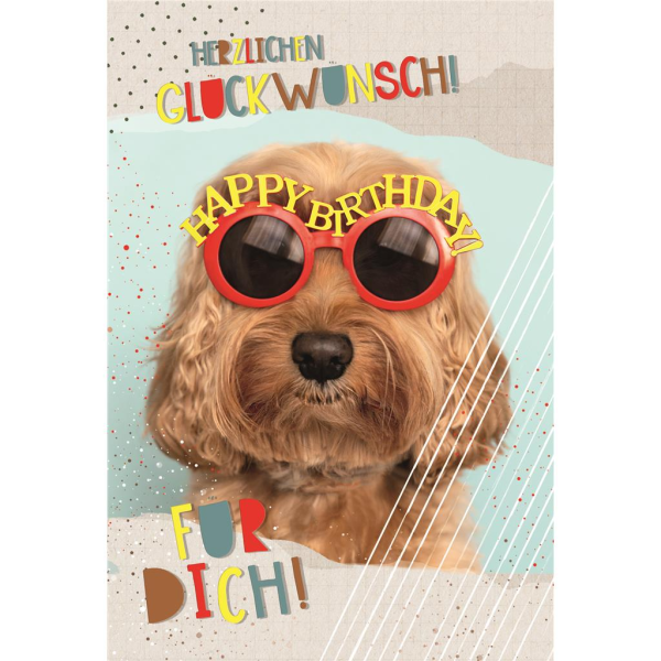 Geburtstagskarte Glückwunschkarte mit Umschlag Hund Sonnenbrille Für Dich Happy Birthday