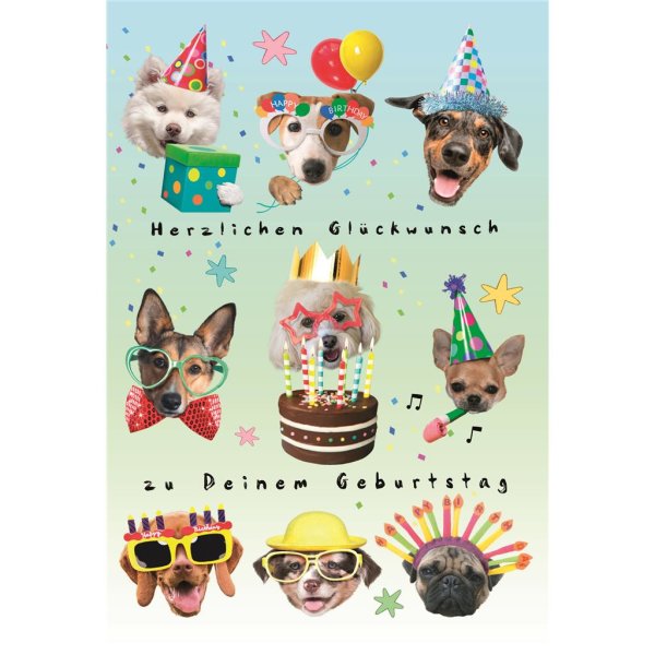 Geburtstag - Glückwunschkarte im Format 11,5 x 17 cm mit Umschlag - Hundeköpfe mit Party Accessoires