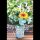 65. Geburtstag Karte mit Umschlag Blumen in Becher