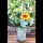 65. Geburtstag Karte mit Umschlag Blumen in Becher