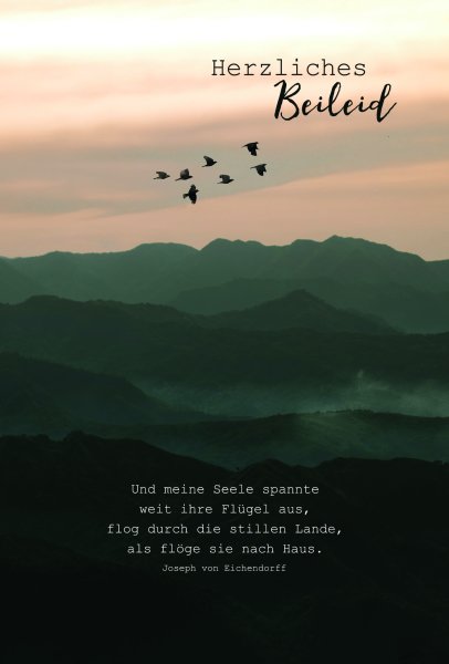 A - Trauer – Beileid – Kondolenz - Trauerkarte im Format 11,5 x 17 cm mit Umschlag - Vögel fliegen über Berge