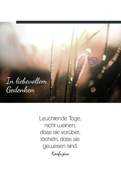 Trauer – Beileid – Kondolenz - Trauerkarte im Format 11,5 x 17 cm mit Umschlag - Schmetterlinge, Gräser