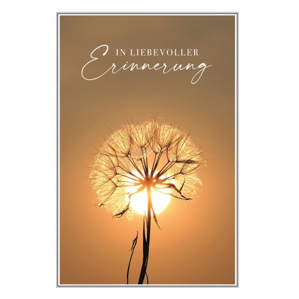 Trauer – Beileid – Kondolenz - Trauerkarte im Format 11,5 x 17 cm mit Umschlag - Pusteblume, Sonne