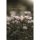 Trauer – Beileid – Kondolenz - Trauerkarte im Format 11,5 x 17 cm mit Umschlag - Blumen